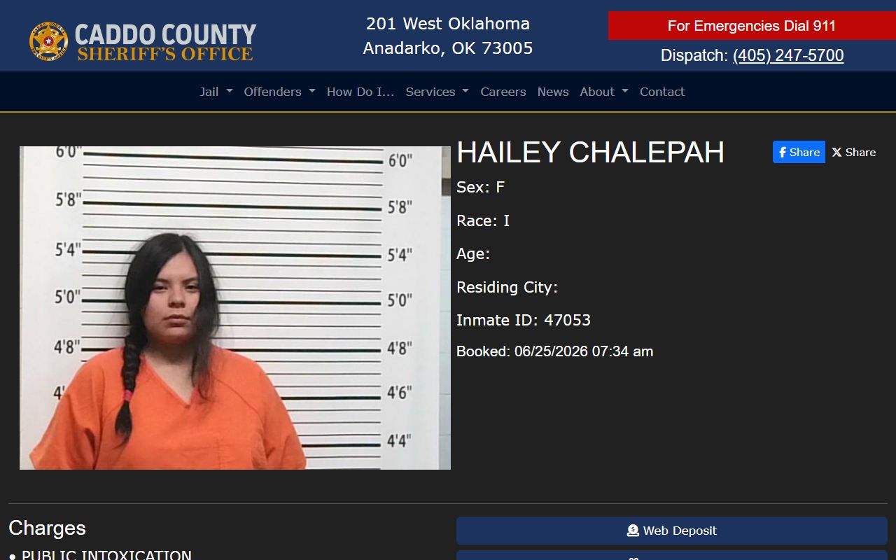 Caddo County jail mugshots sample inmate profile photo field